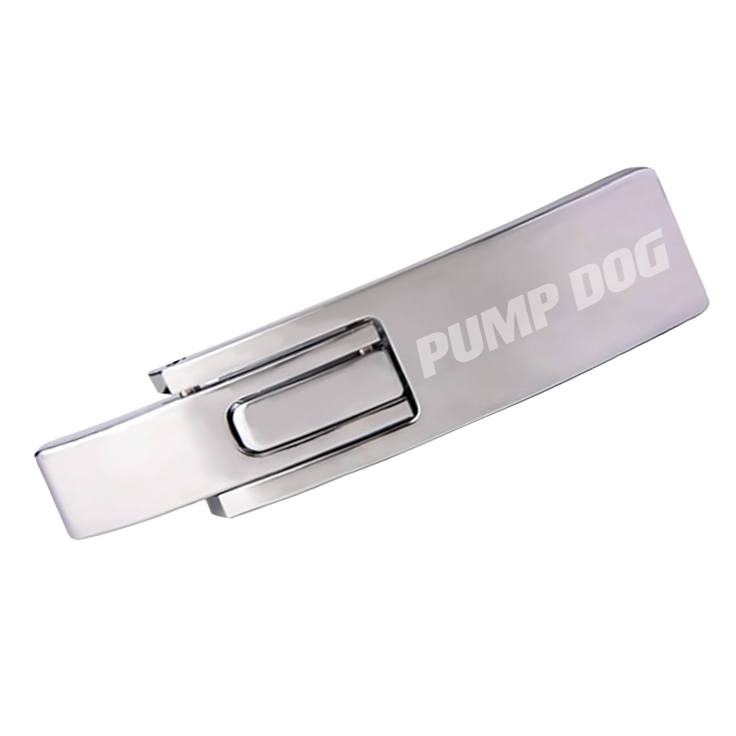 Chrome Lever Buckle