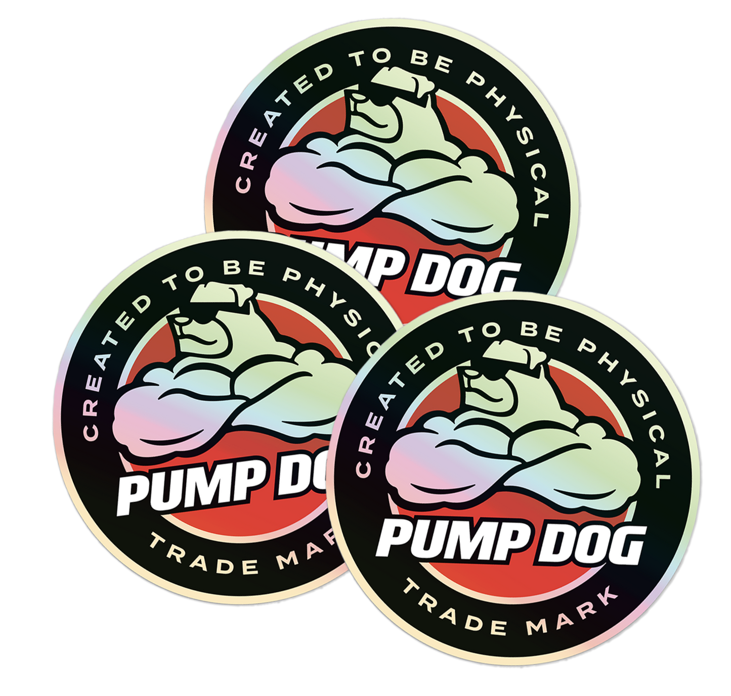 3-Pack Phoenix Holographic 3" Stickers