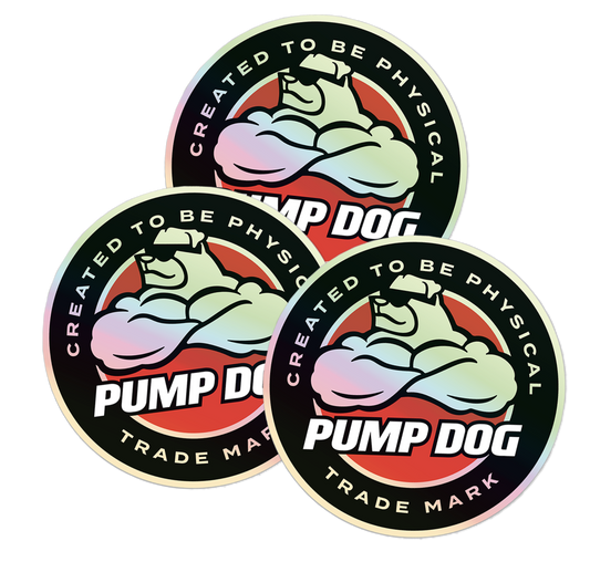 3-Pack Phoenix Holographic 3" Stickers