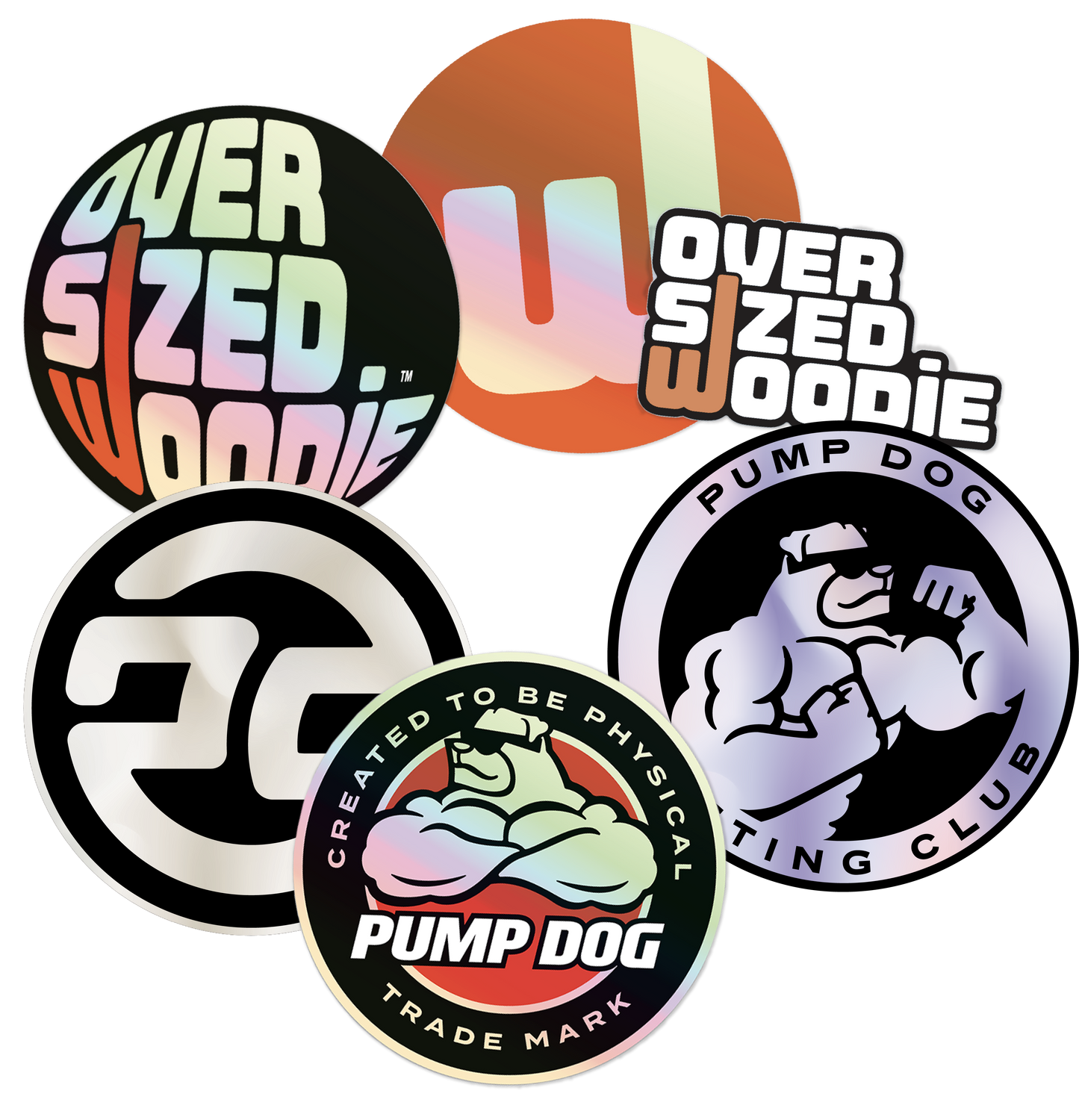 6-Pack Mixed Holographic Sticker Set