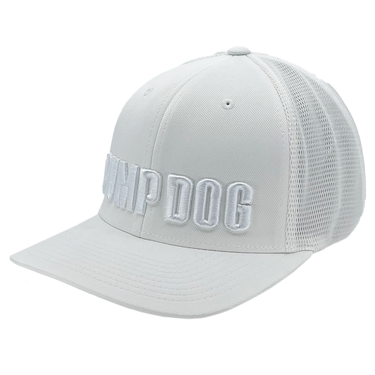 Icy Vanilla All-White Snapback