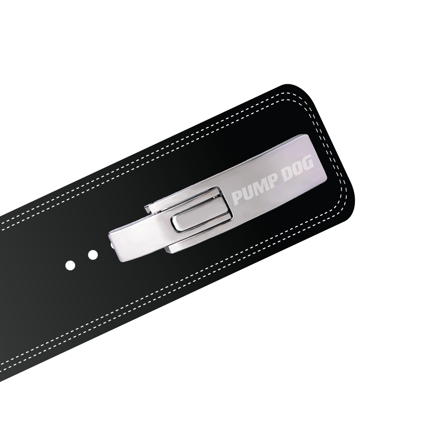 Chrome Lever Buckle