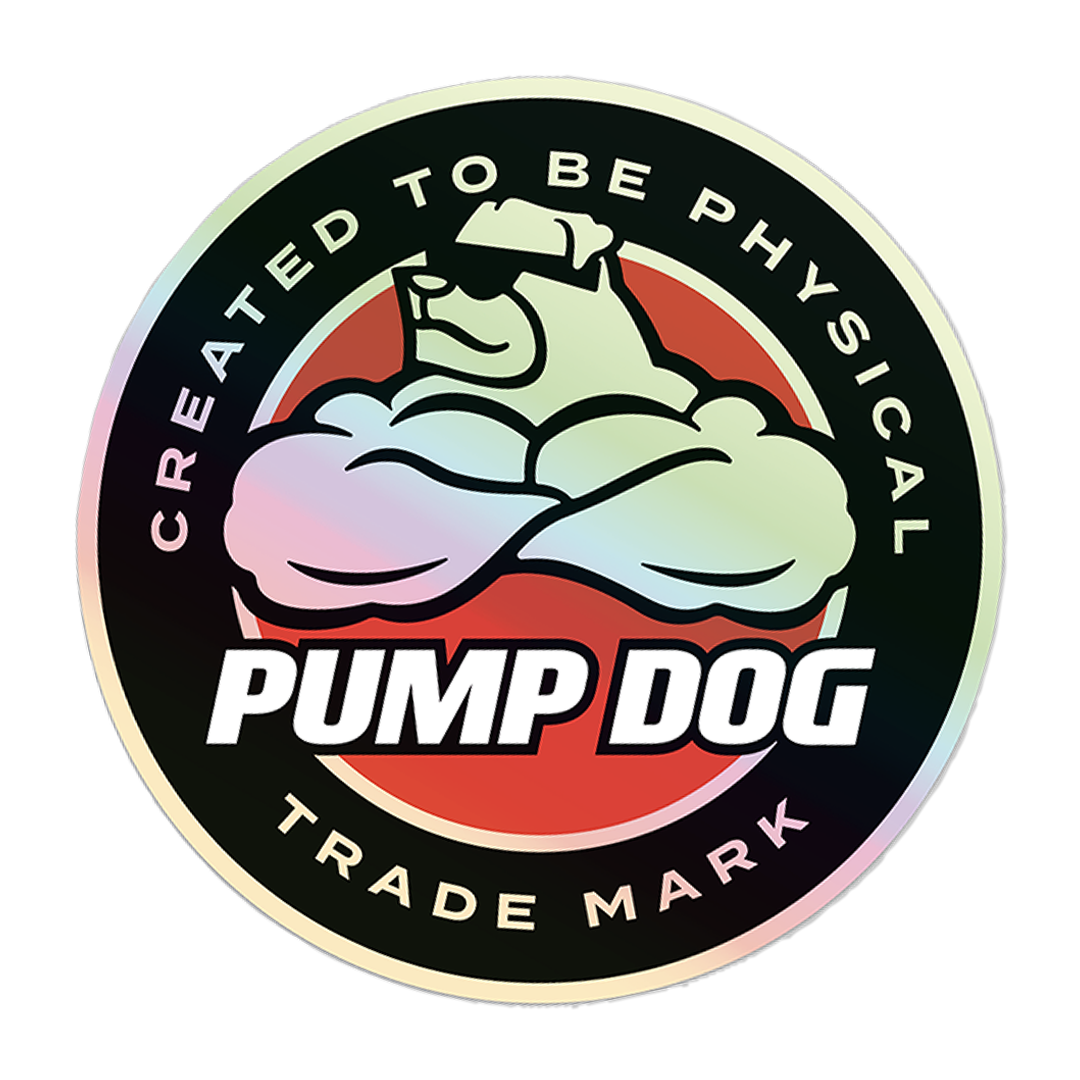 Phoenix Holographic 3" Sticker