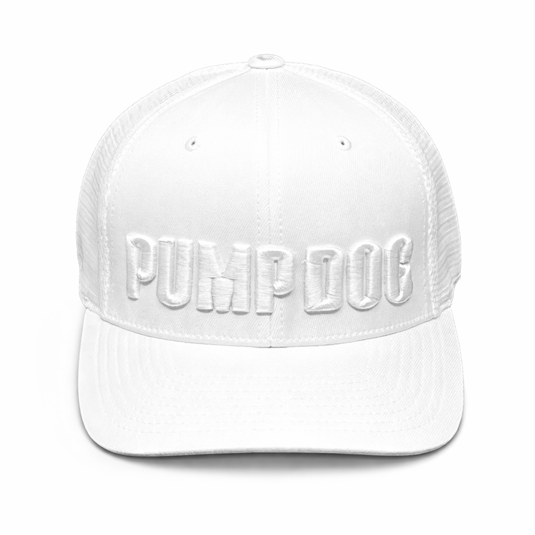 Icy Vanilla All-White Snapback