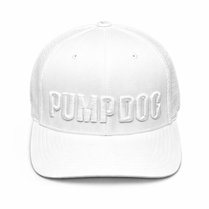 Icy Vanilla All-White Snapback