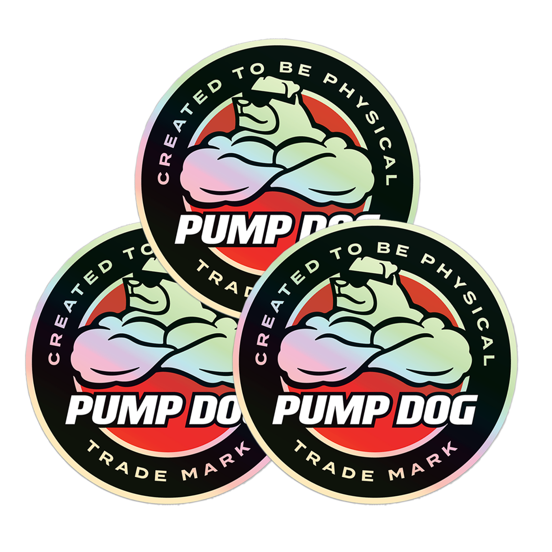 3-Pack Phoenix Holographic 3" Stickers