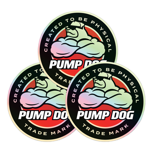 3-Pack Phoenix Holographic 3" Stickers